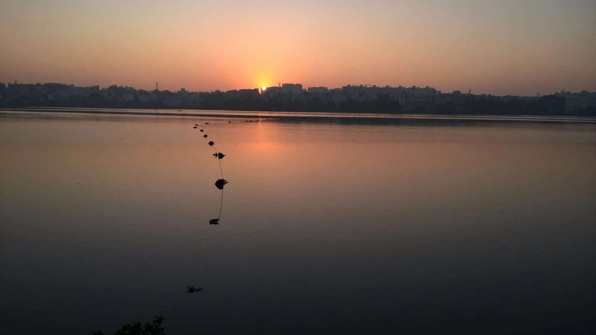 Madiwala Lake Park&nbsp;